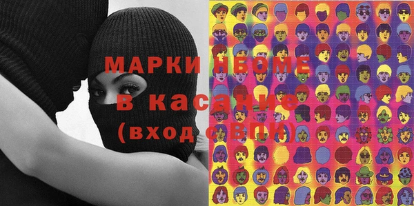 крисы Надым