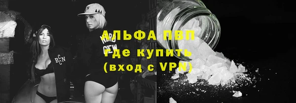 крисы Надым