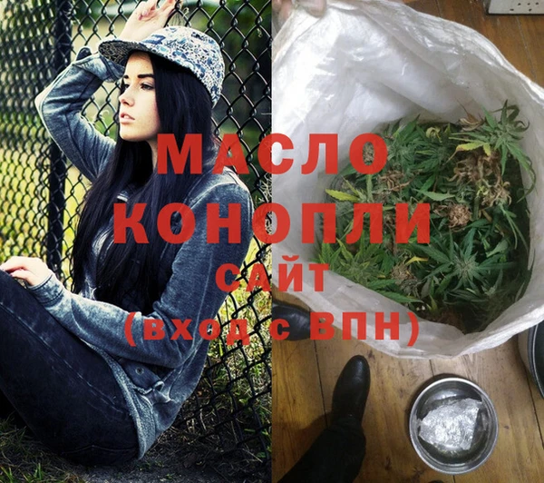 крисы Надым