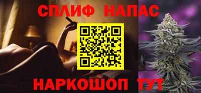тгк Дубна