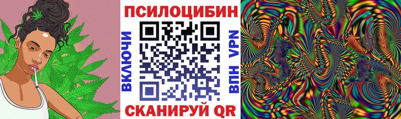 хочу   Майский  Псилоцибиновые грибы Magic Shrooms 